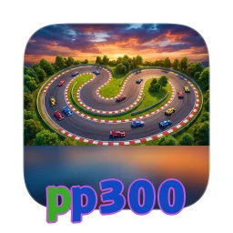pp300